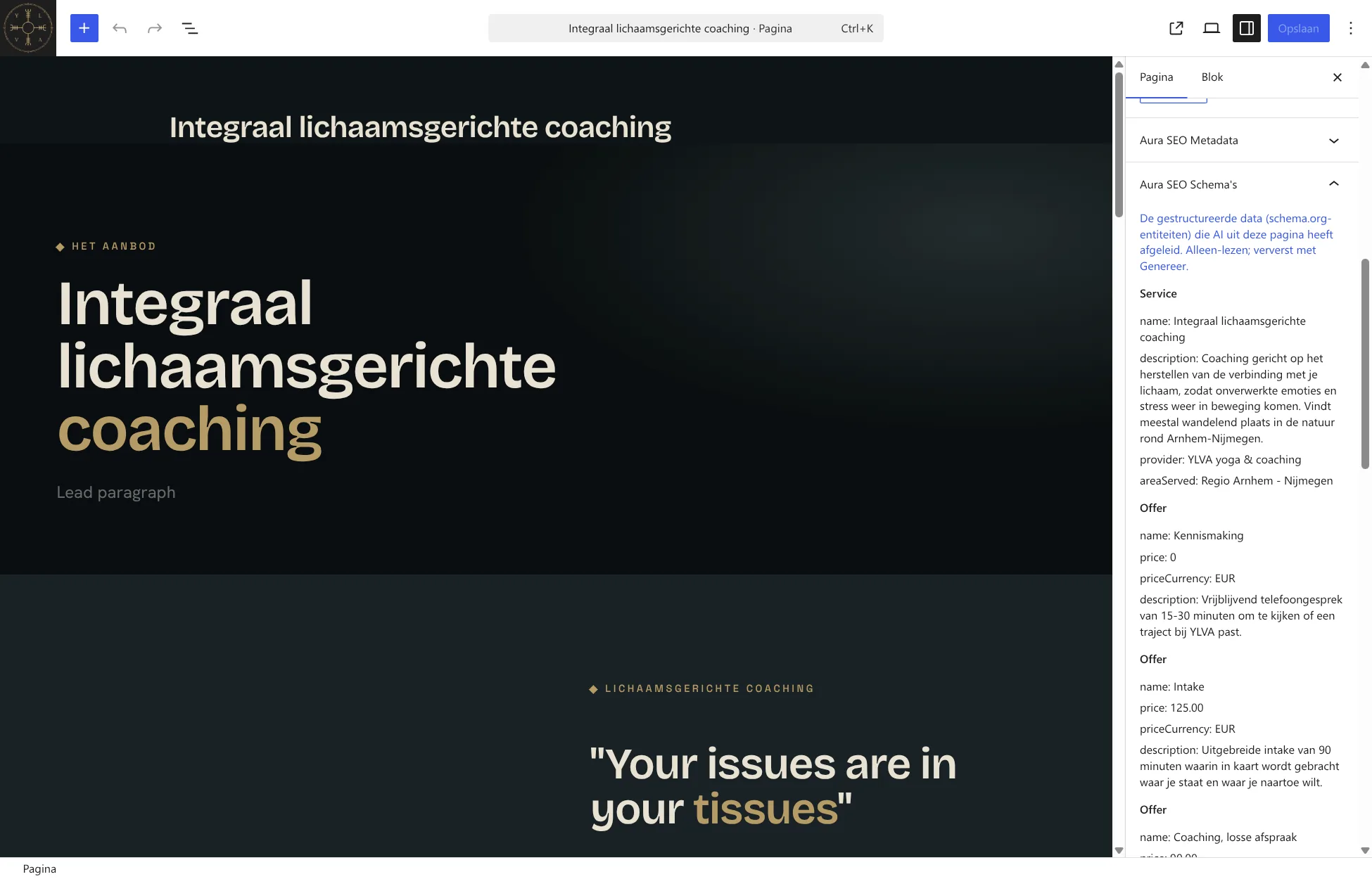 De afgeleide schema.org-entiteiten in Aura