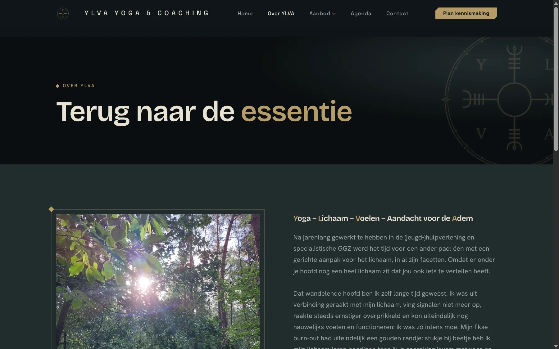 YLVA Yoga & Coaching - afbeelding 4